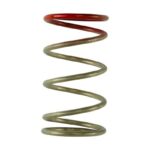 Turbosmart GenV IWG 14 PSI Spring
