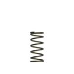 Turbosmart GenV WG60 5psi Purple Inner Spring
