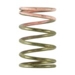 Turbosmart GenV IWG 7 PSI Spring