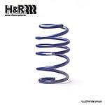 H & R Lowering Springs Supra A80