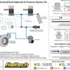 Haltech CO2 Boost Control Dual Solenoid & Pressure Sensor Kit - Image 2