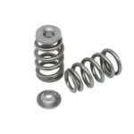 Kelford 1JZ-GTE Extreme Beehive Springs