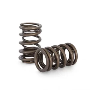 Kelford NISSAN GTi-R HIGH PERFORMANCE DUAL SPRING SET