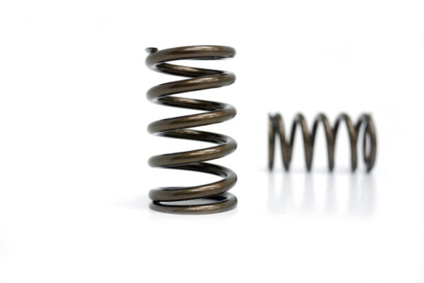 Kelford Toyota 1JZ-GTE Valve spring set
